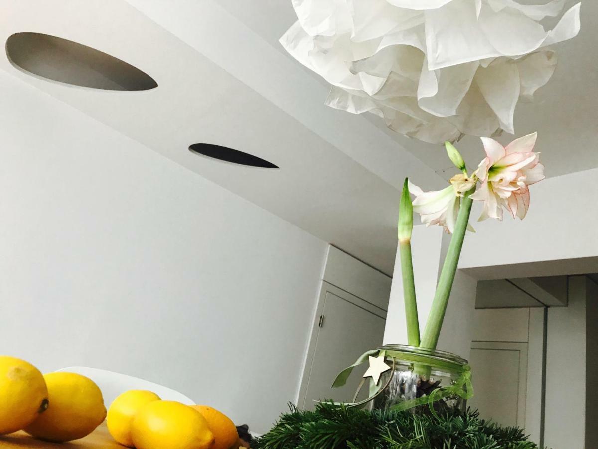 Architectural Loft Апартаменти Софія
